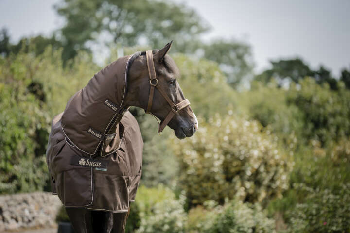 bucas Outdoordecke Irish Turnout & Neck 300 g Espresso